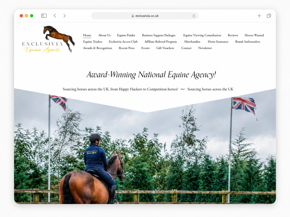 Preview of the Exclusivia website